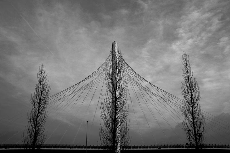 Calatrava bridge #7 B&N