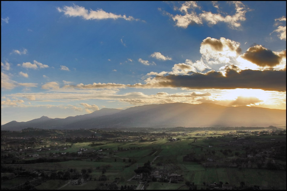 This land is my Land...