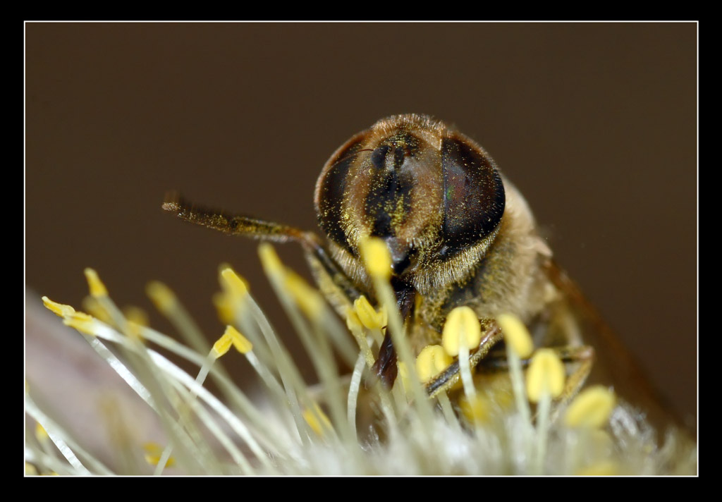 GUARDAMI NEGLI OCCHI......