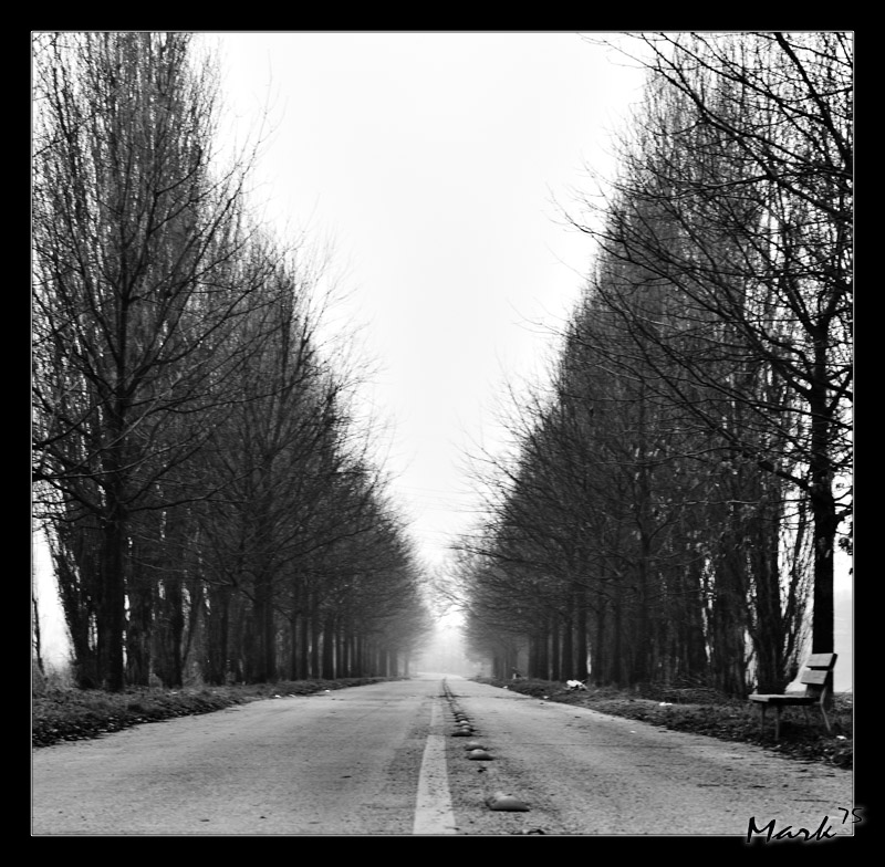 Il cammino della vita