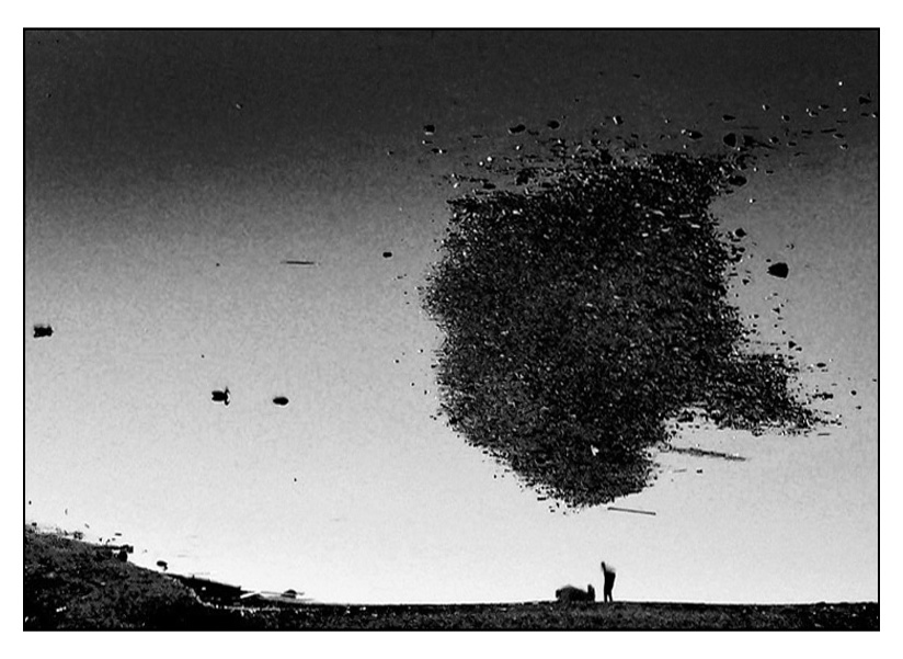 ::: ATSOPPO ENOISIV :::