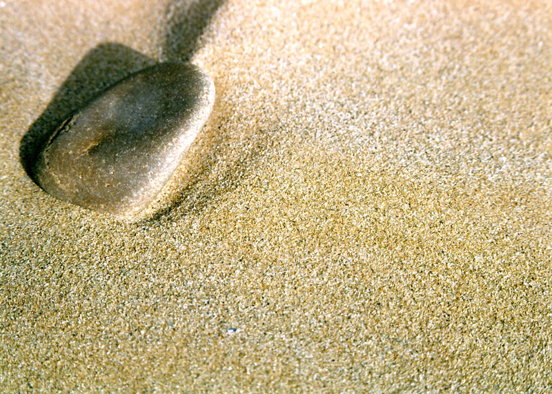 ...Da qui non mi muovo!...