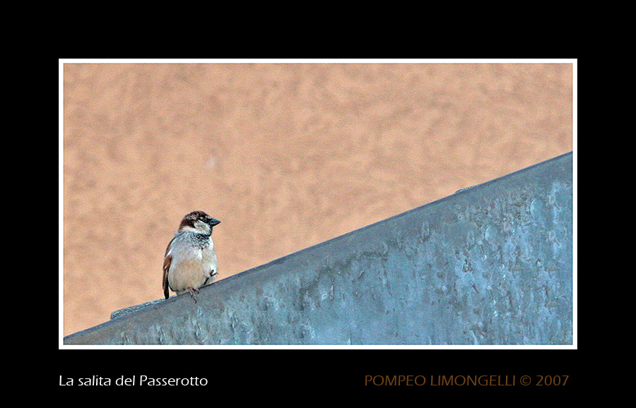 La salita del Passerotto