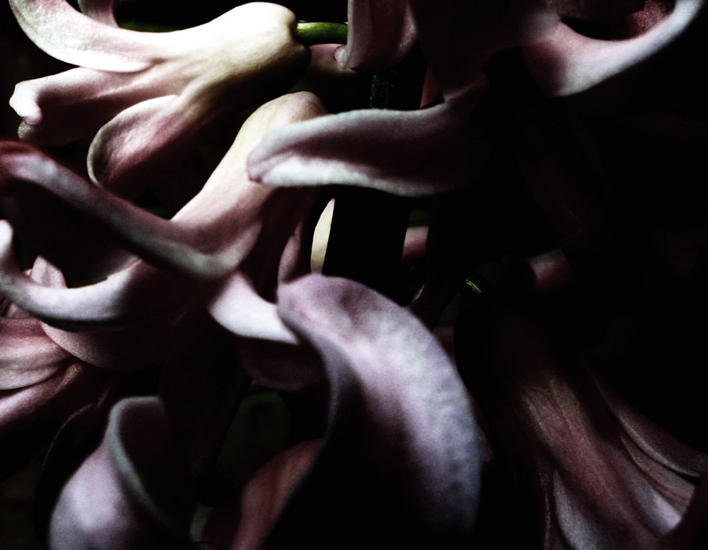 non essere pessimista