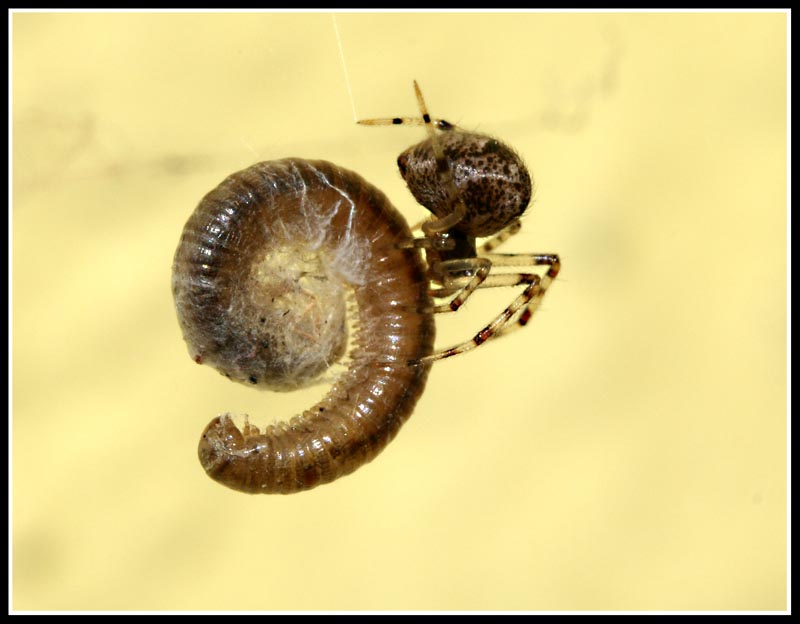 ... ora di pranzo ...