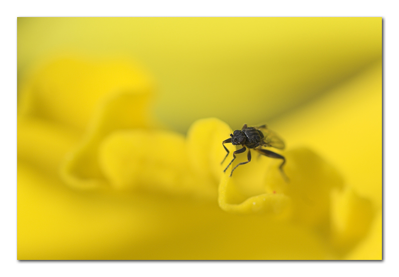 Sulla cresta dell'onda