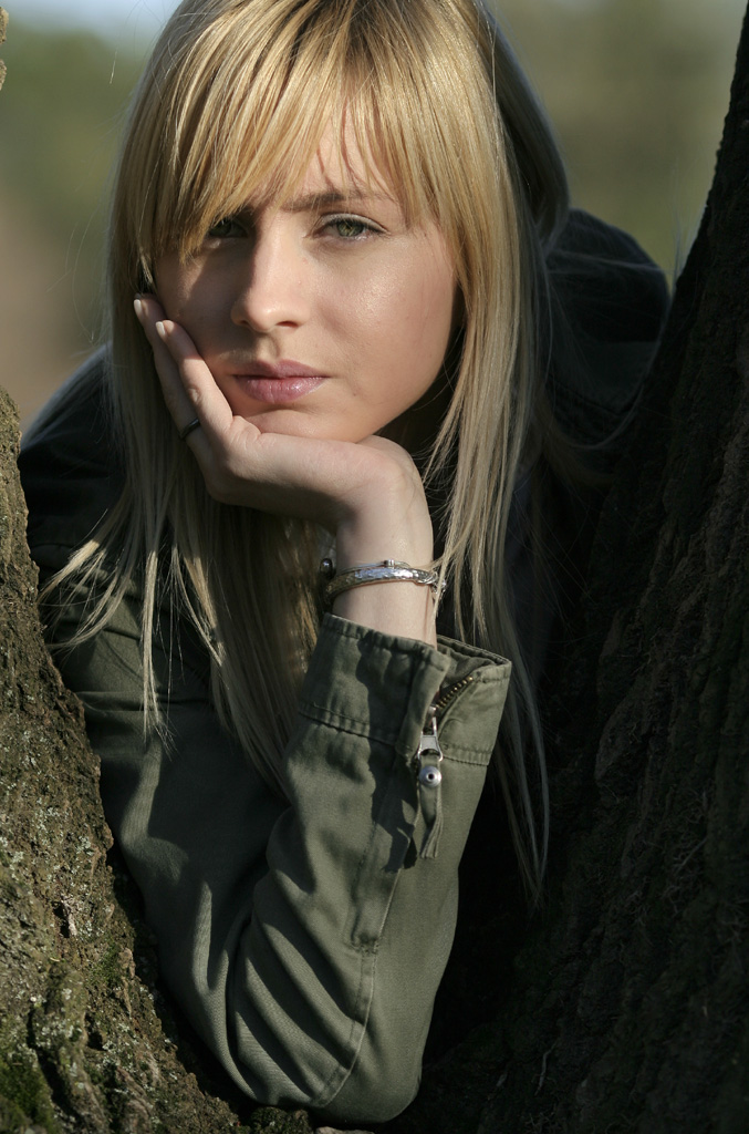 Uno sguardo dall'albero