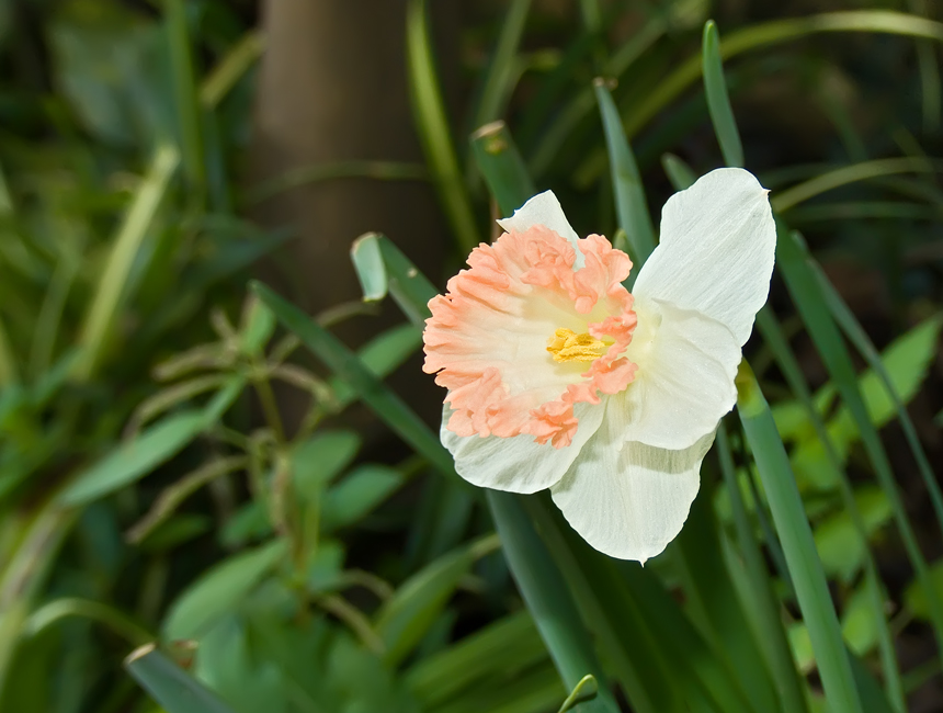 Una macro semplice semplice