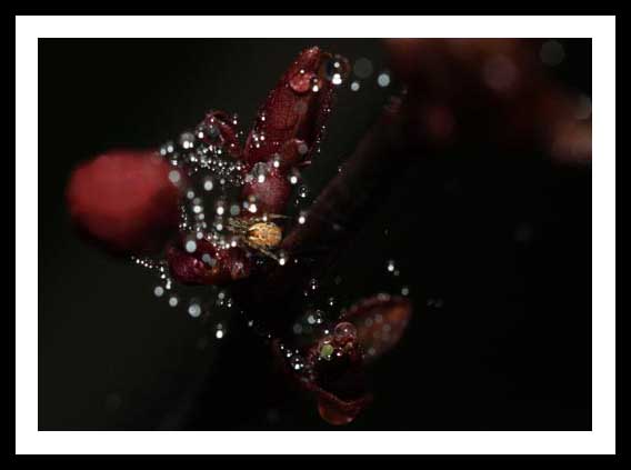 Stelle con aerografo