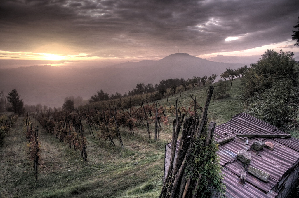 Alba Sui Colli Bolognesi [color]