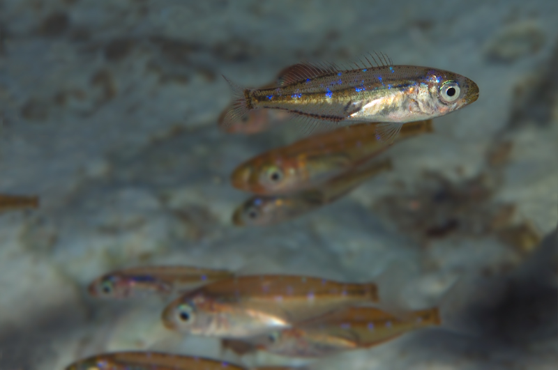 Andare controcorrente