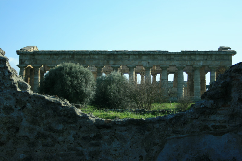 tra le rovine