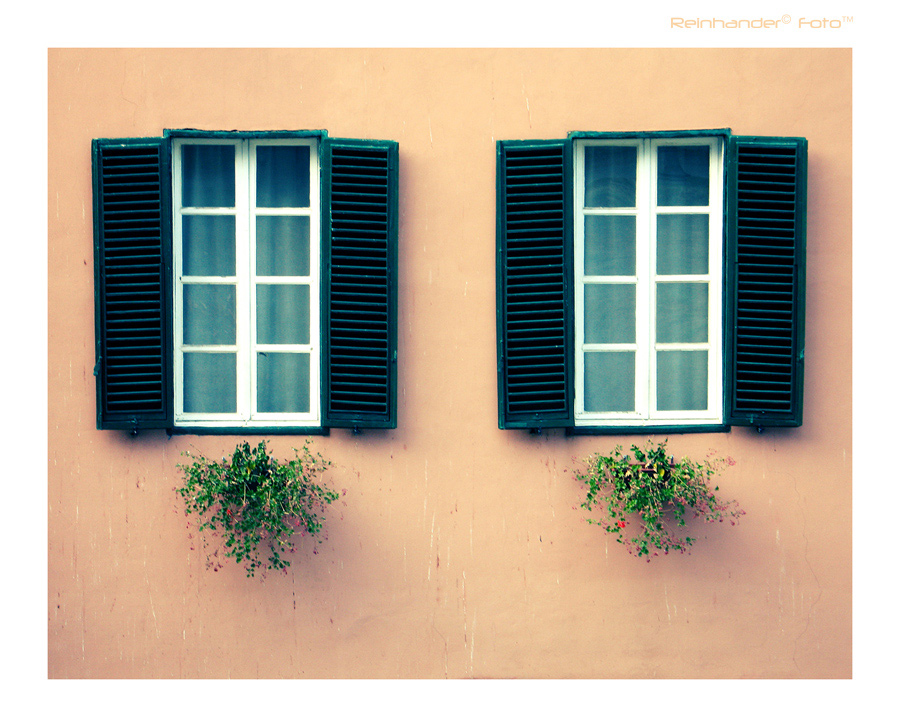 Windows