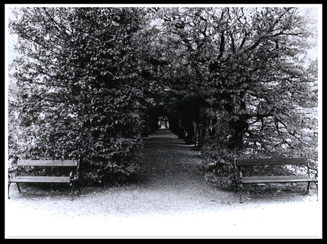 Villa Panza_2, 07-09-06