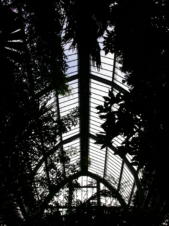 natura addomesticata