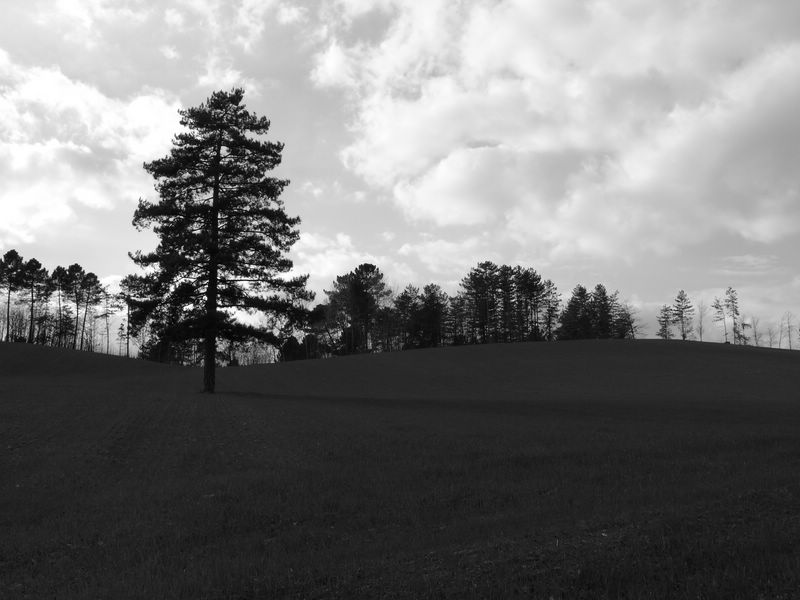 un triste pomeriggio....la solitudine regna su tutto