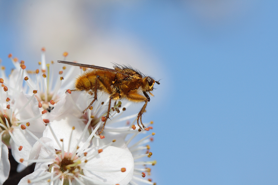 Assaggi di primavera in toni pastello