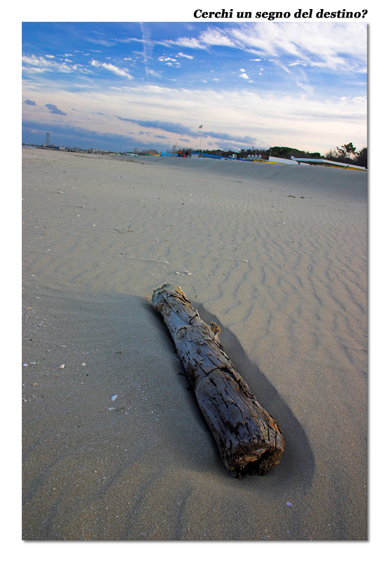 Cerchi un segno del destino?