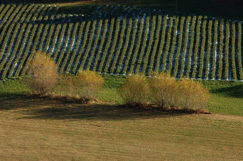 Alla fine dell'anno agrario