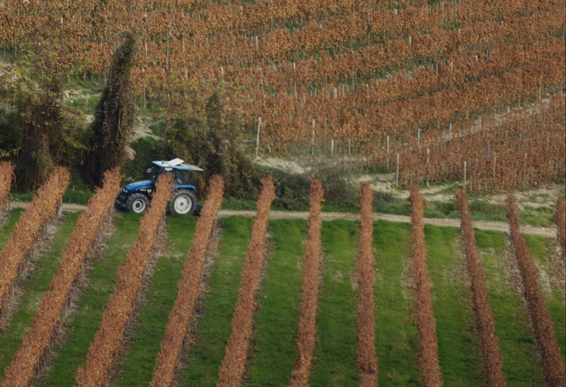 Alla fine dell'anno agrario-2