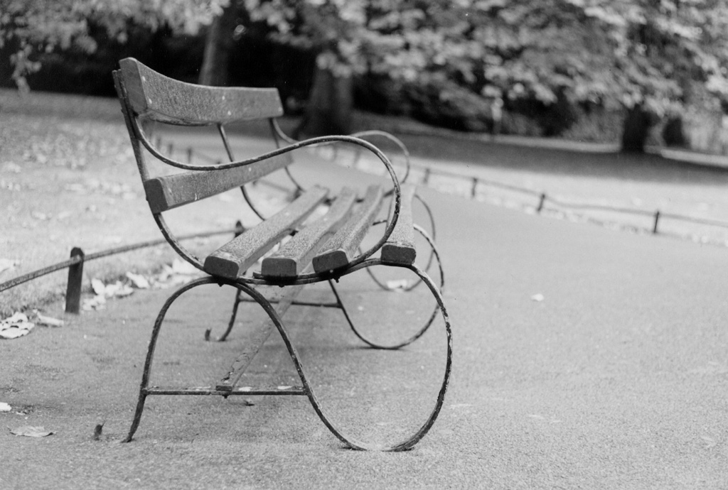 ancora dublino.. S. Stephen park