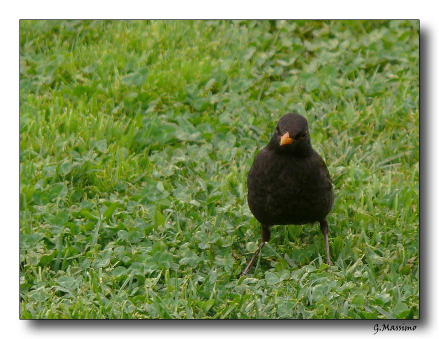 ...non mi scattare la foto...