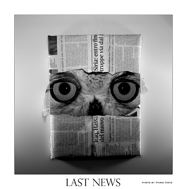 last news (scatto dedicato ai media)