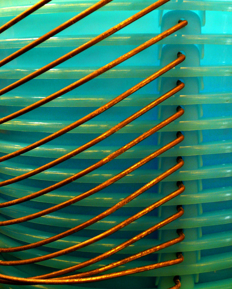 In the ipermarket ( alien thoracic cage )