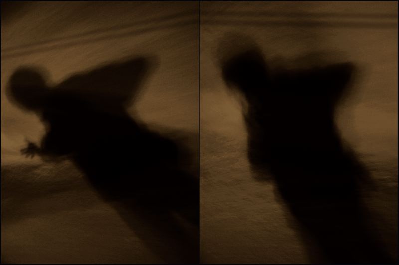 ombre e trascorsi sul selciato