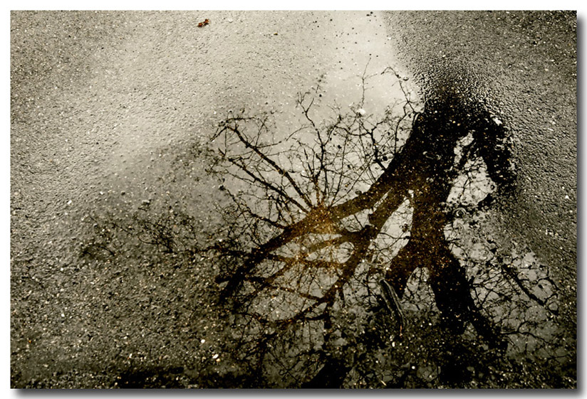 finalmente un debole raggio di sole