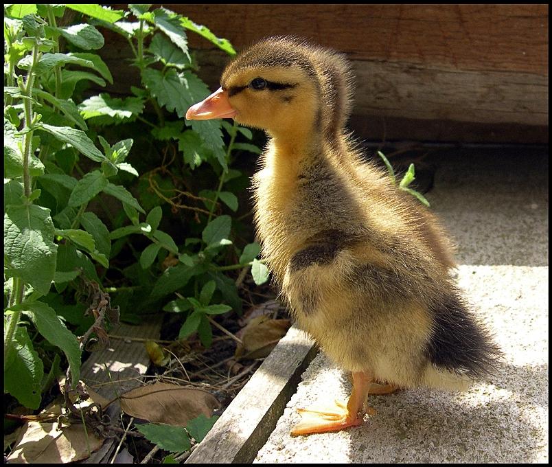 "ah che calduccio questo sole..!!"