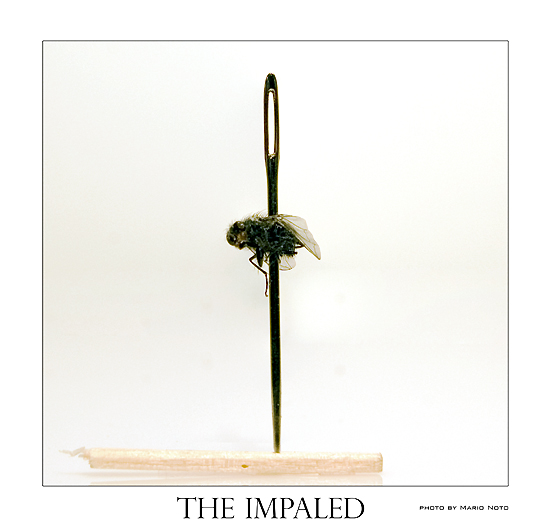 the impaled (remake)