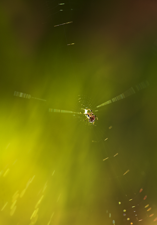 vibrazioni spazio temporali