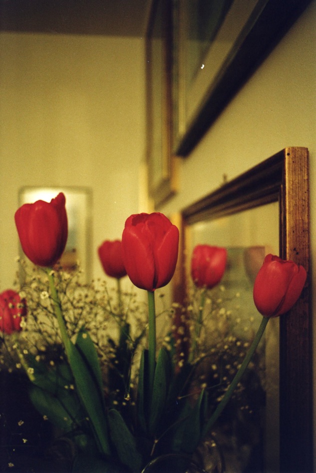 Esperimenti Reflex #3