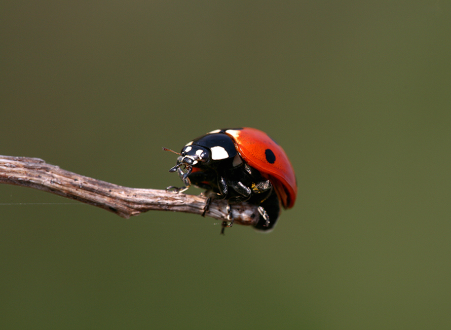 St� per partire...