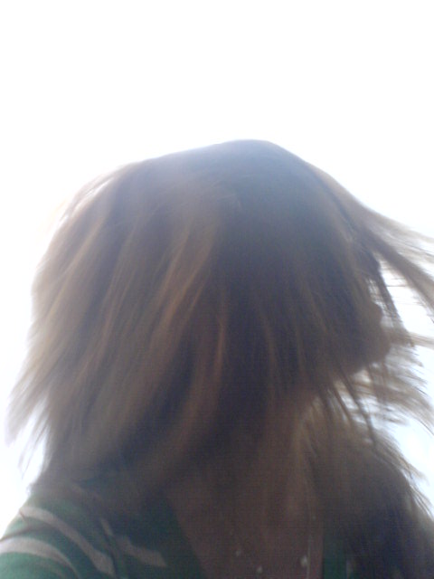 alla ricerca della luce