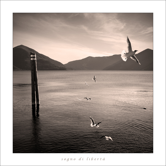 sogno di libert�