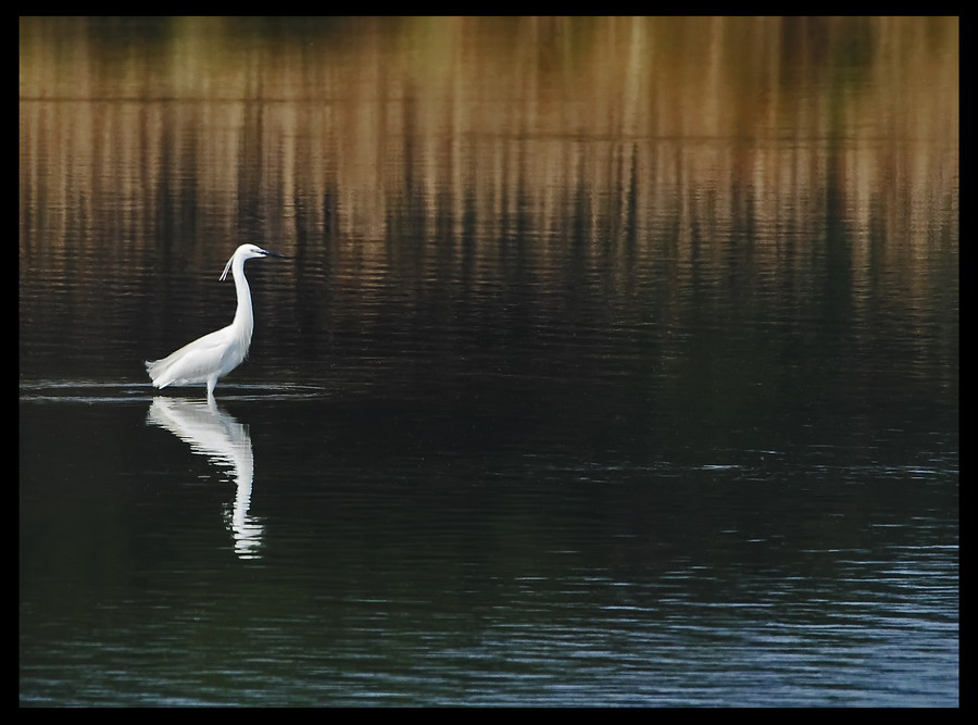 Naturale eleganza...