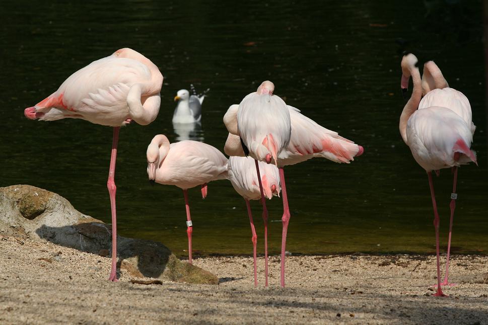 giornata al bio parco