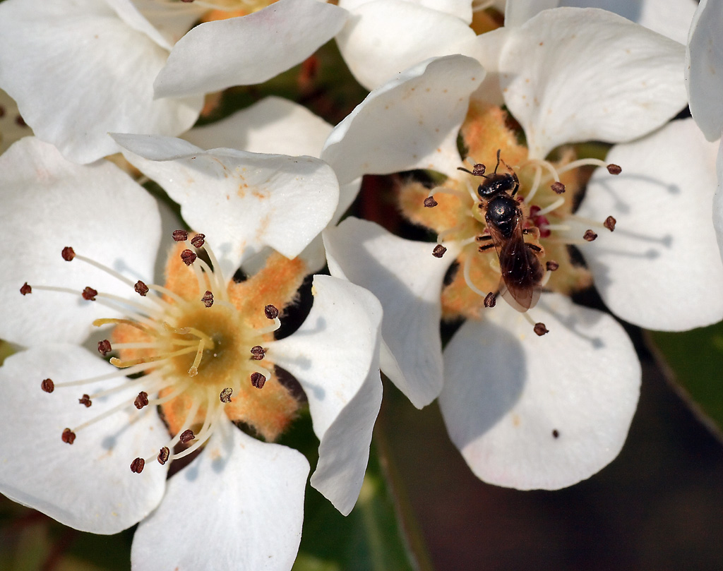 ...trova le differenze...