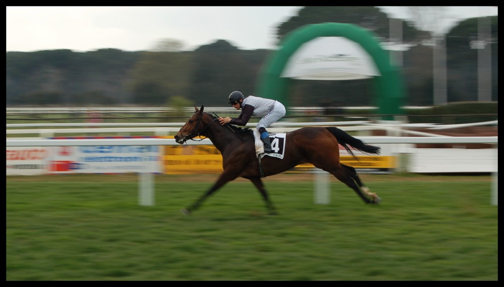 Ippodromo, prime prove col panning