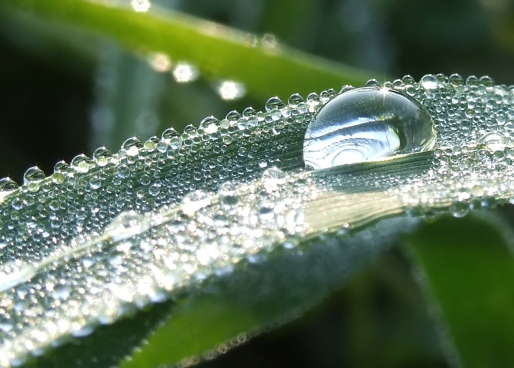 riflessi del mattino