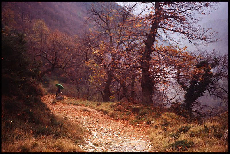 Autunno sulle Apuane 2 (diverso taglio)