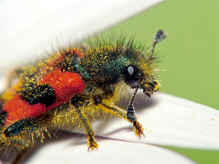 miii che scossaaa!!!