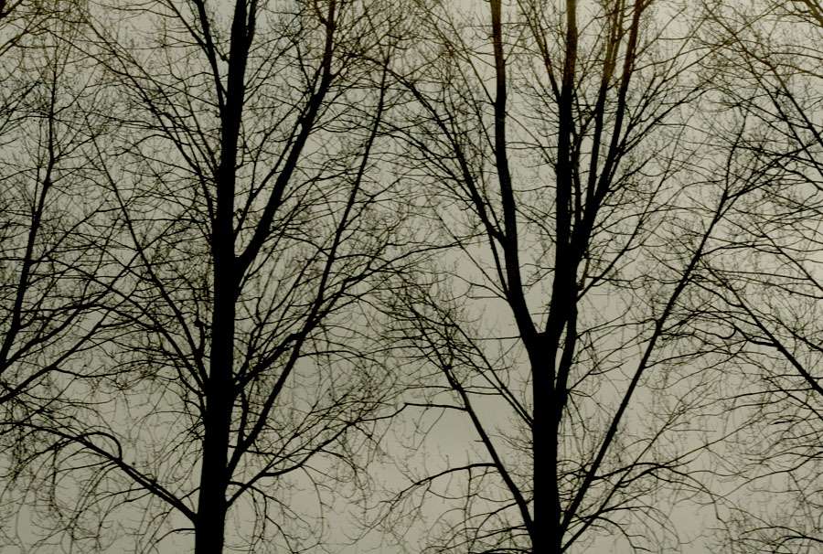 ... strutture...dal treno in corsa