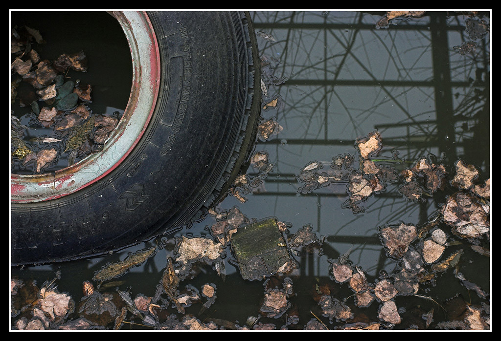 ::: Natura Urbana :::