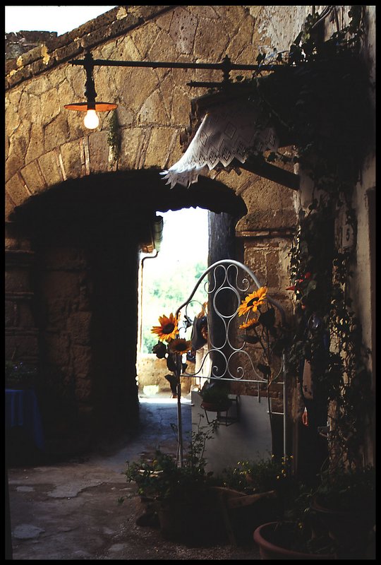 Luce artificiale per finto fiore