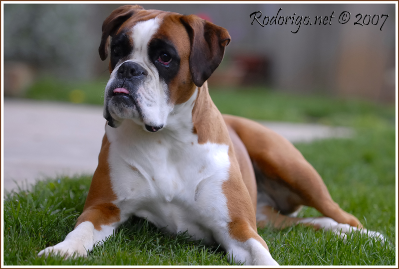 Stella...una canuccia modella!!! :-D