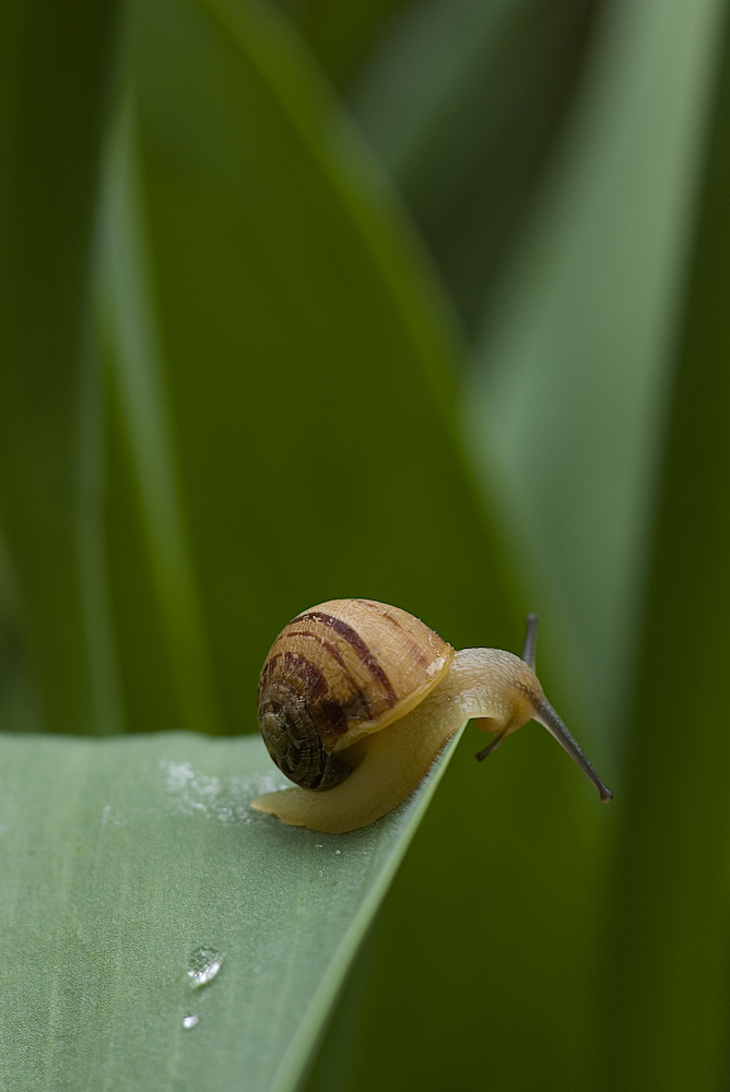 ..che faccio mi butto??