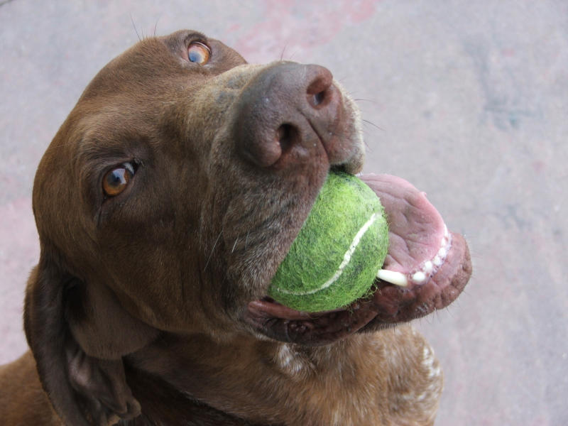 dai.....giochiamo ancora